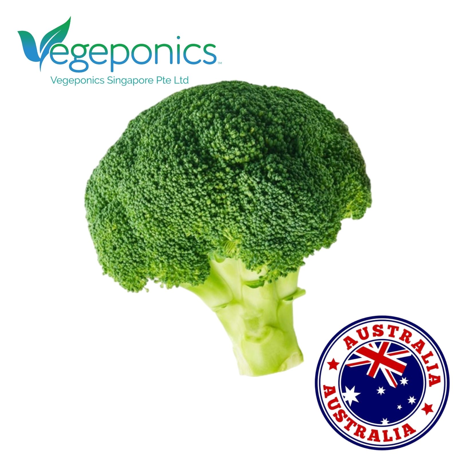 Australia Broccoli (350G)