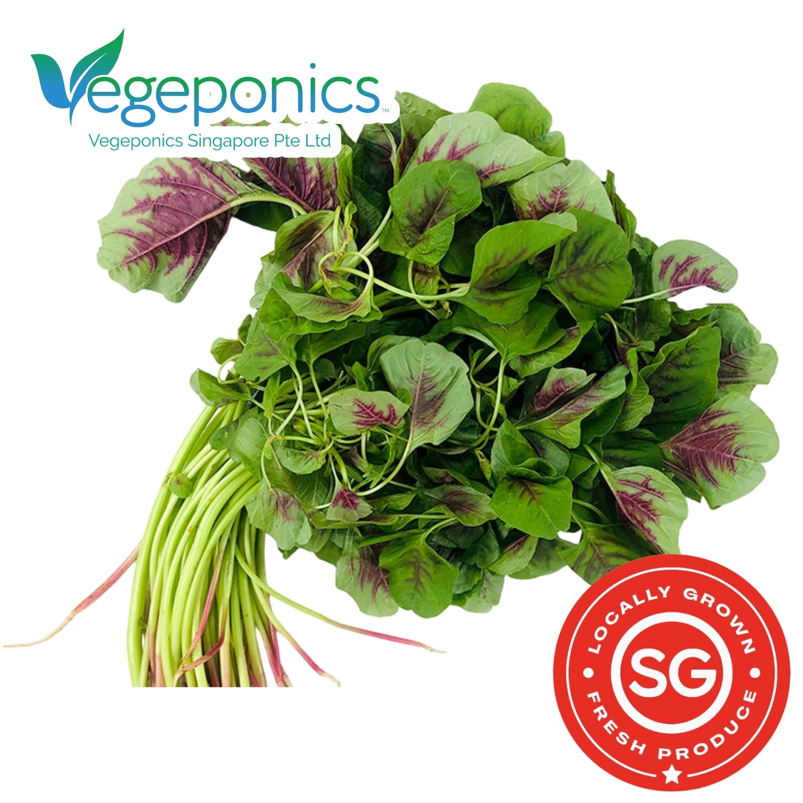 Bayam Red Spinach (250G)