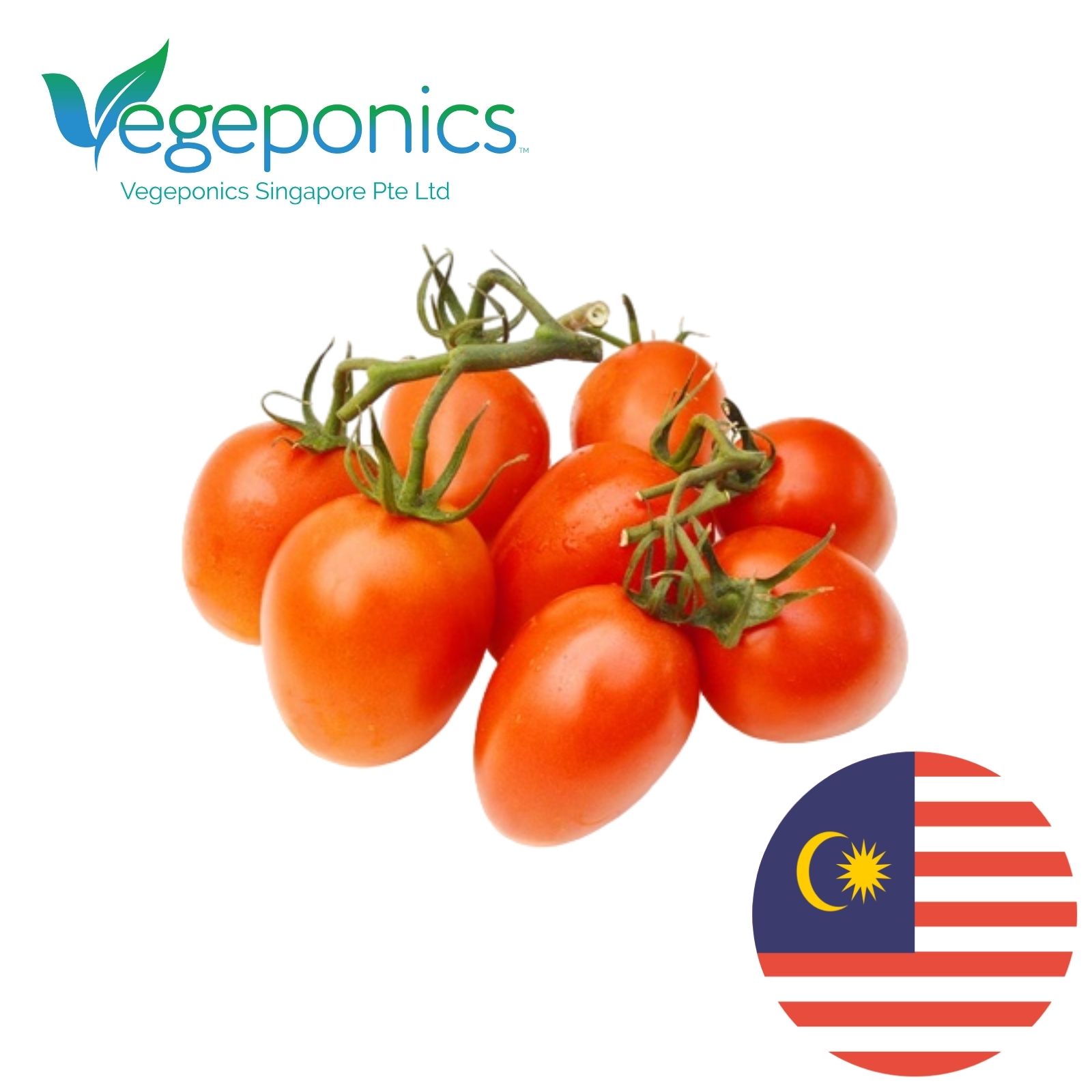 Cherry Tomato (200G)