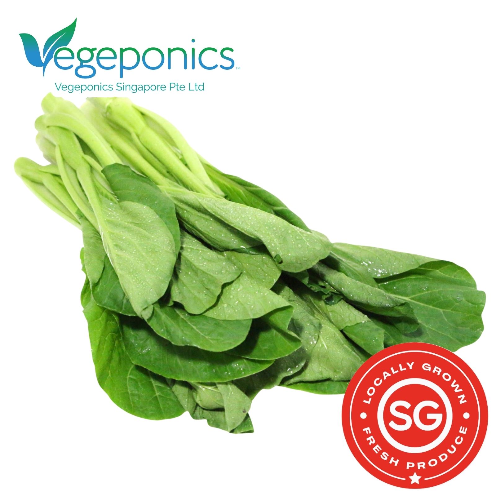 Chye Sim (200G)