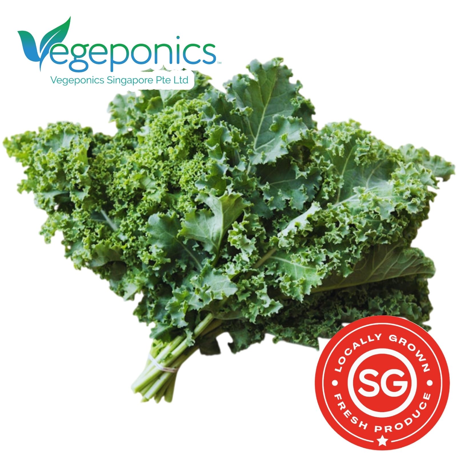 Curly Kale (120G)