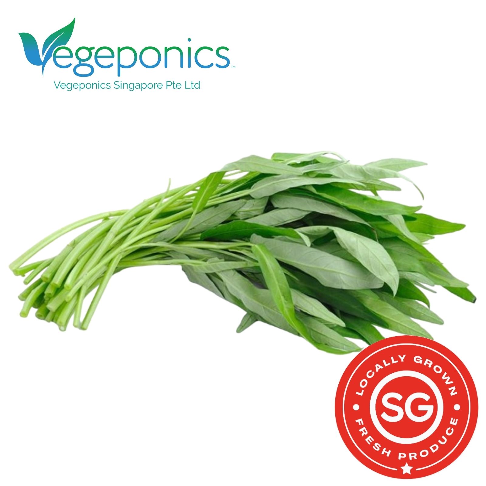 Kang Kong (250G)