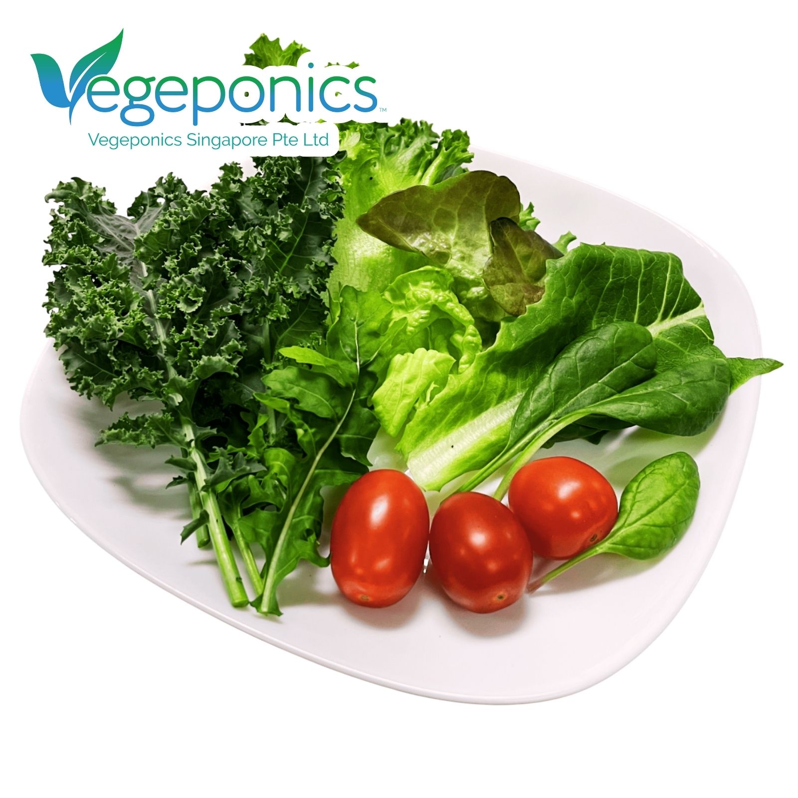 Mesclun Salad (150G)