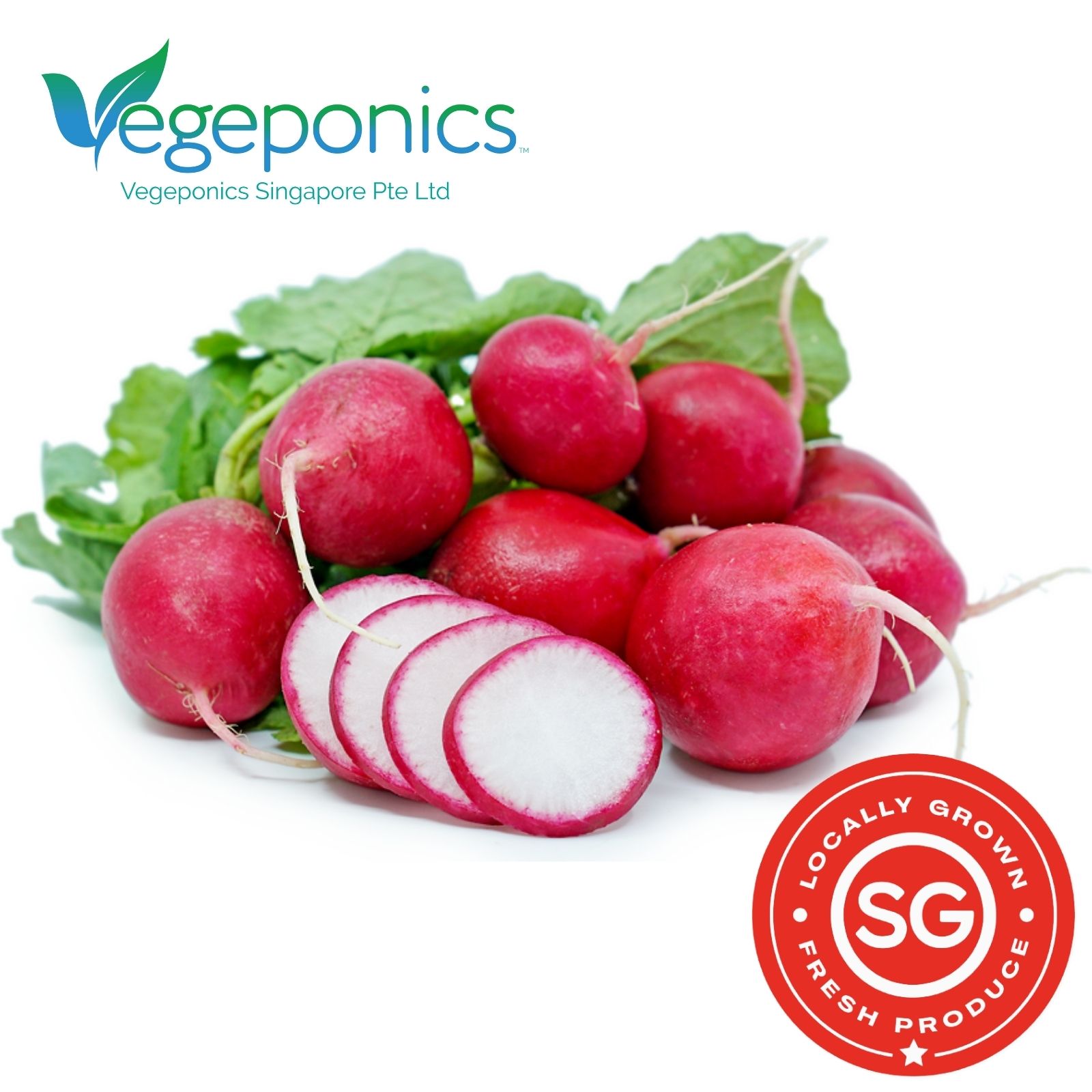 Red Radish (150G)