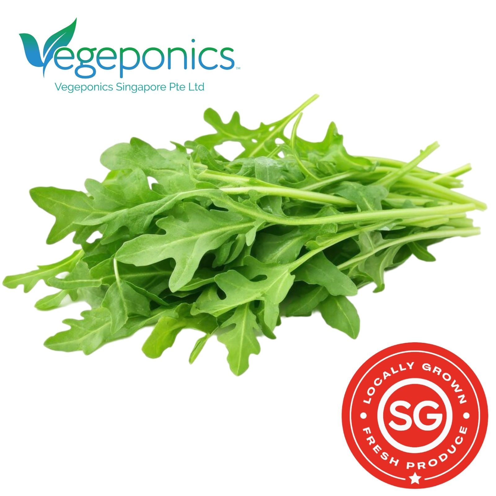 Wild Rocket, Arugula (60G)