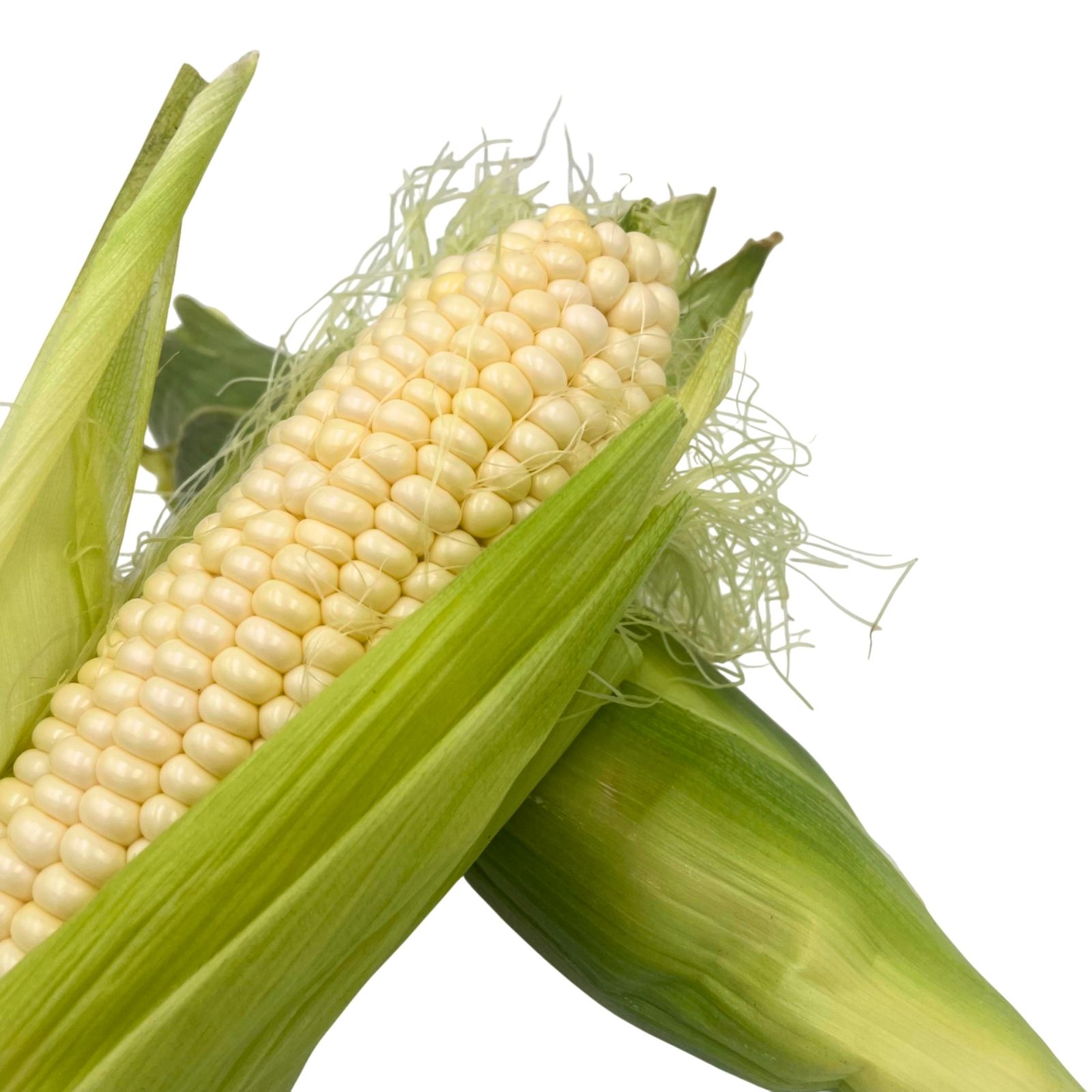 White Sweet Corn (300G) - Image 2